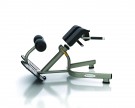 Picture of Aura Series Back Extension Bench G3-FW52