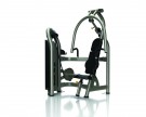 Picture of Aura Series Chest Press G3-S10