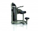 Picture of Aura Series Tricep Extension G3-S45